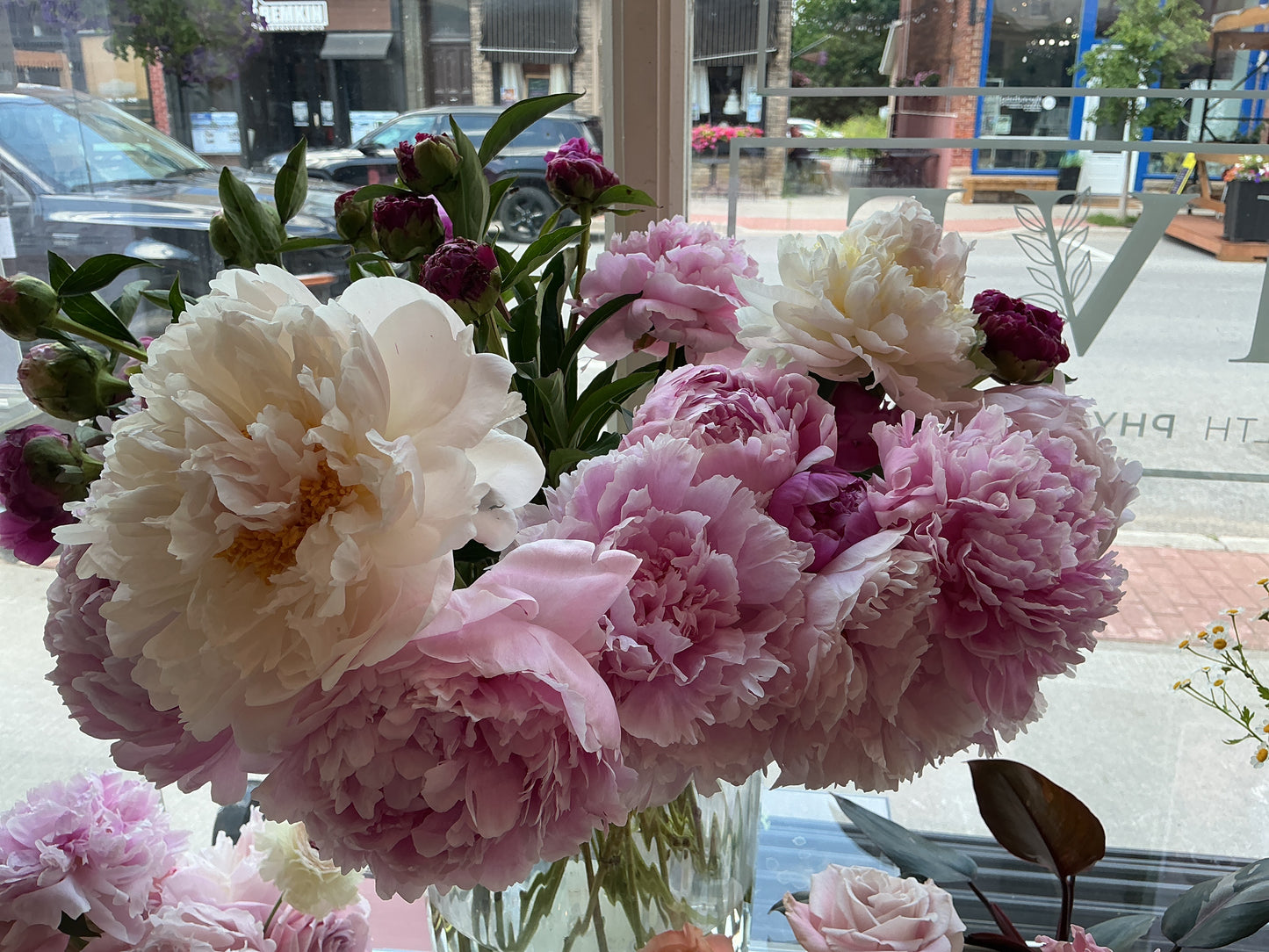 Peony Stem