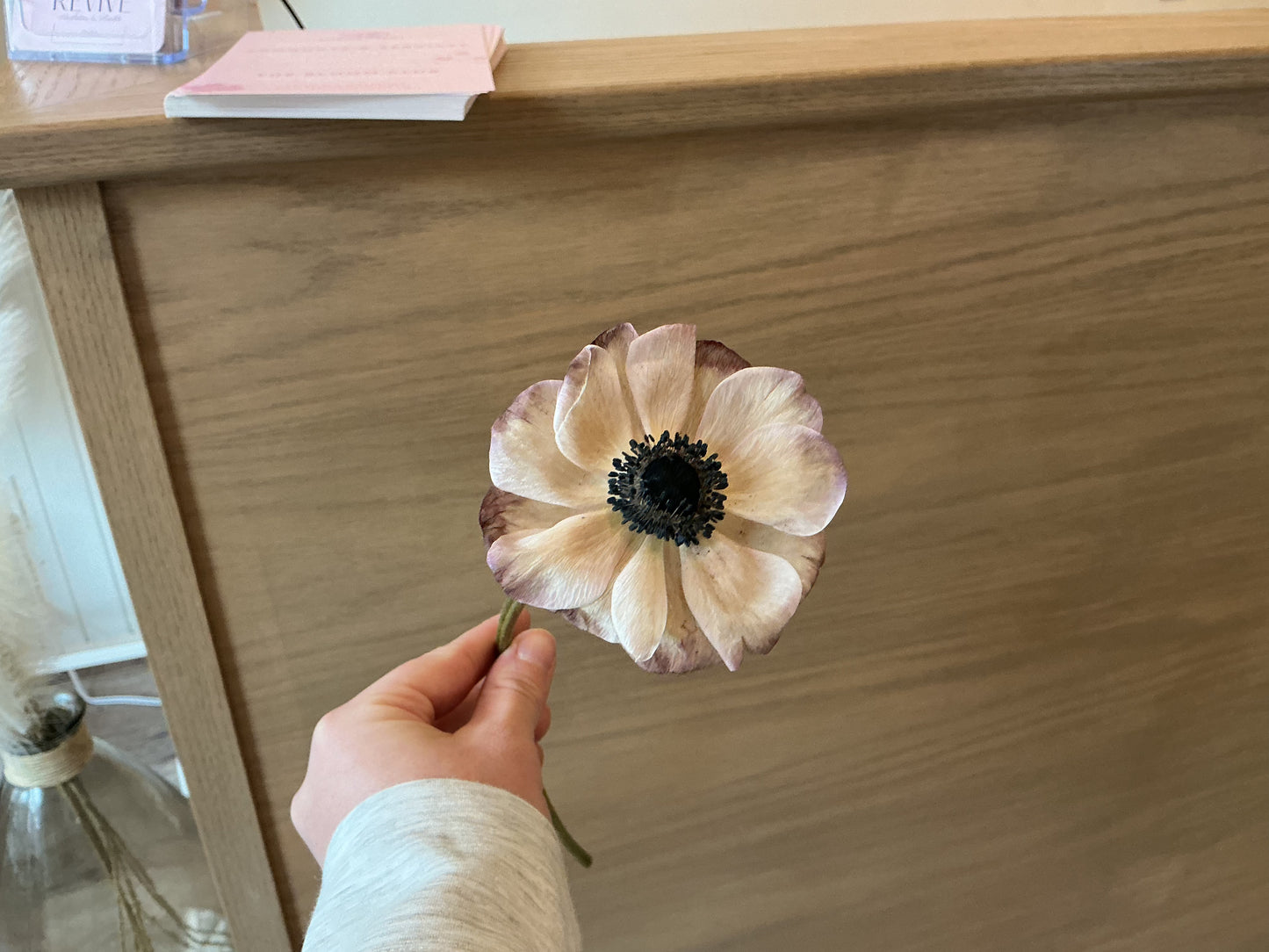 Anemone Stem