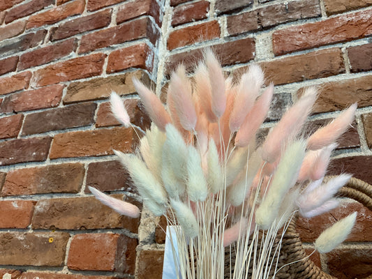 Bunny tail