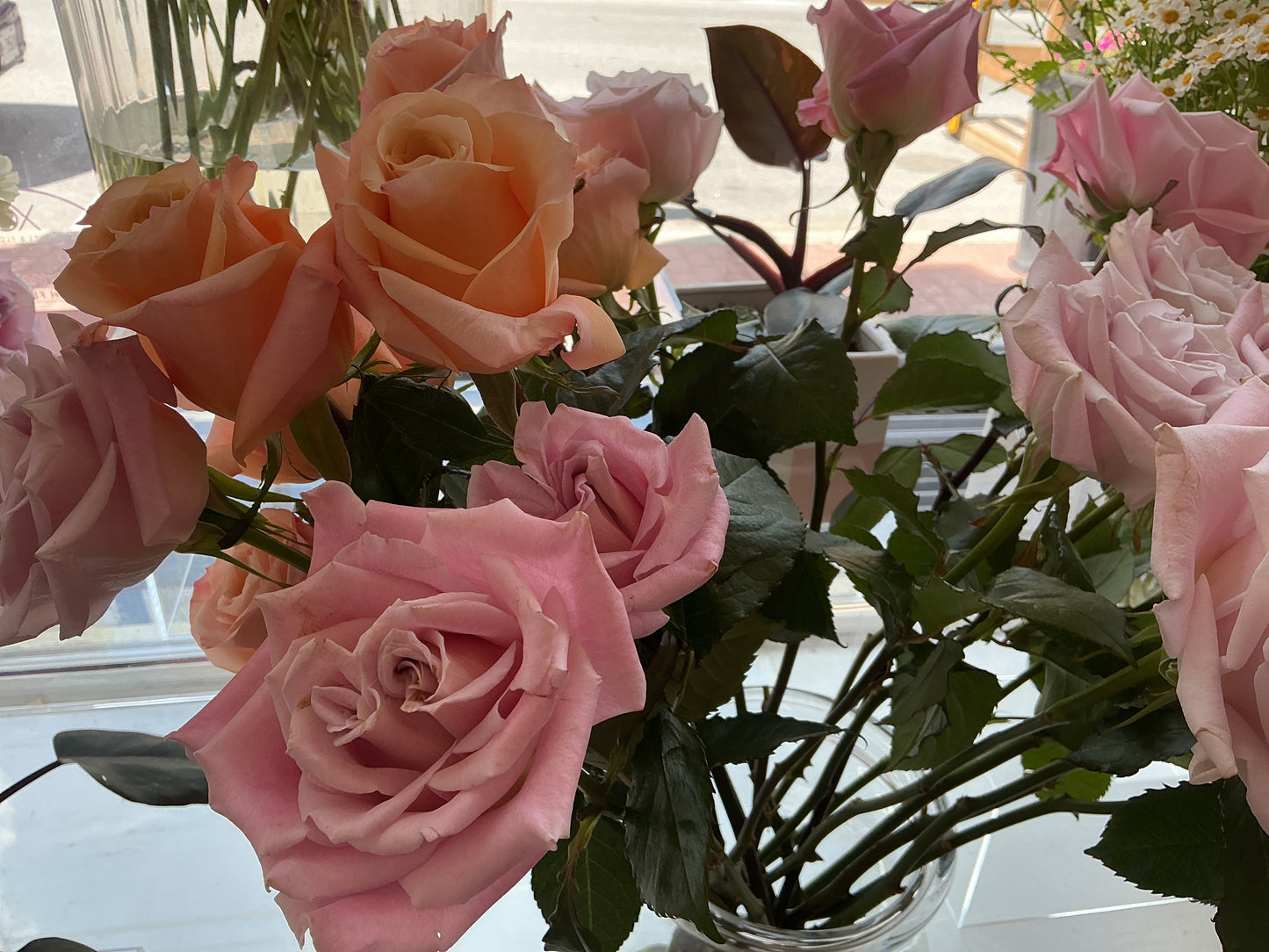 Rose Stem