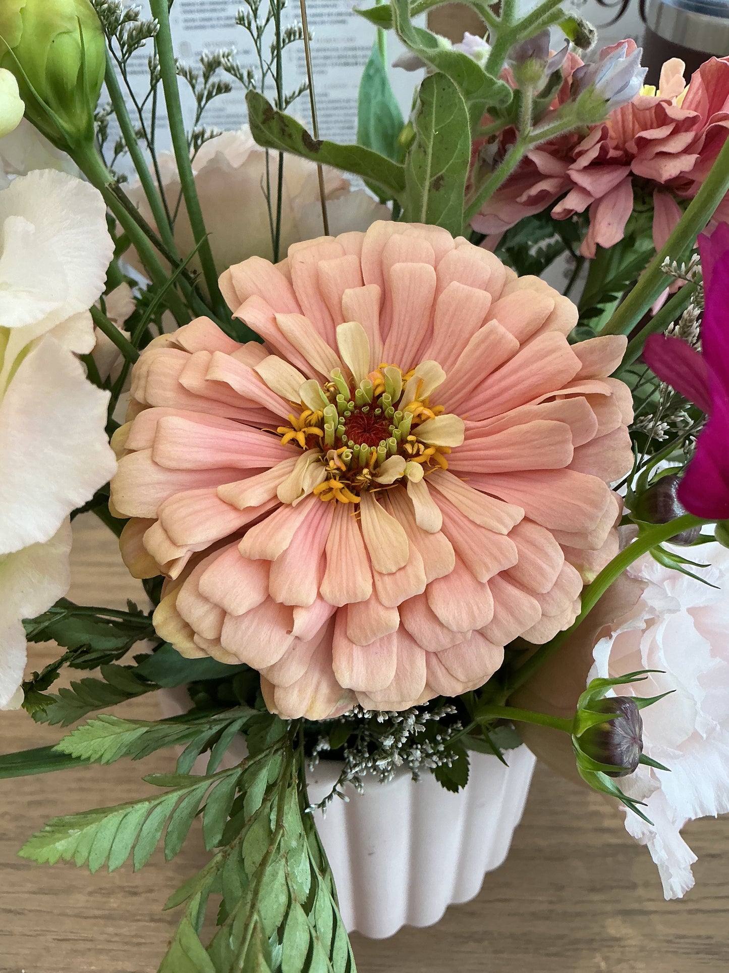 Zinnia Stem