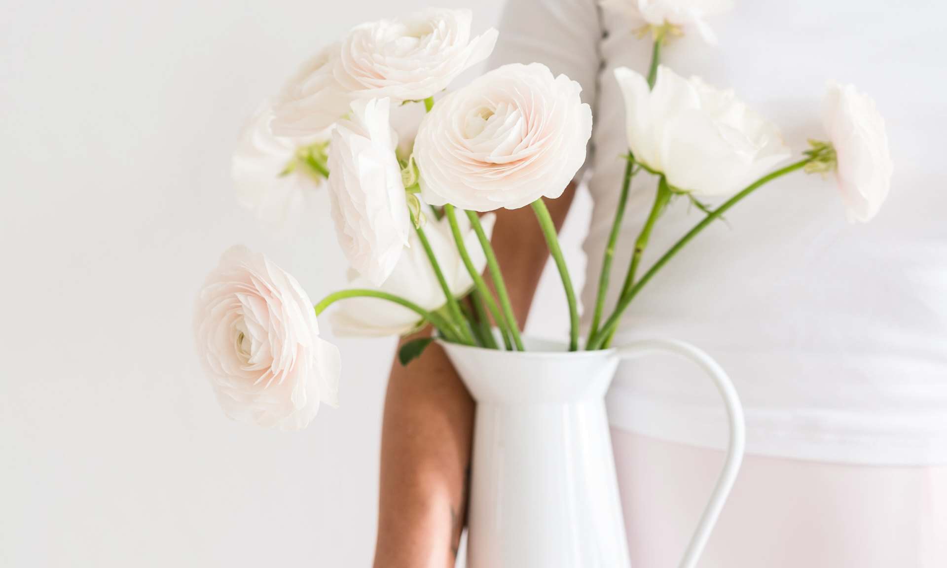 Beautiful white ranunculus flowers in a white ceramic pitcher.